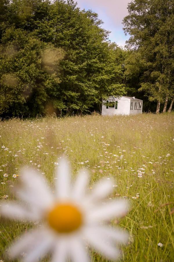Villa Mini-Glamping En Auvergne Sainte-Christine  Exterior foto